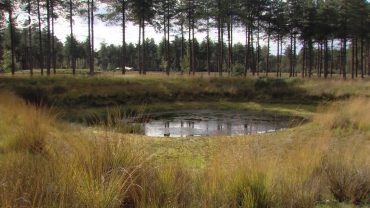 Om te zorgen dat we niet met z’n allen tegelijk dezelfde plek in de Brabantse natuurgebieden bezoeken is er nu advies in te winnen bij een heuse druktemeter.