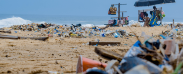 Rogier De Nijs presenteert event om album op te nemen met plasticafval - foto van bergen afval op het strand