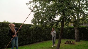 Inmiddels heeft Rosemarijn van de Wiel met haar initiatief ‘Vergeten Fruit’ al een aardige lijst met bomen die ze elk jaar kan bezoeken.