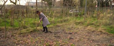 Op het terrein waar Ut Rooie Bietje zat gevestigd, ontspruit op dit moment een nieuw groen initiatief: Un Bietje Groen. Vanaf 1 januari gaat de stichting het terrein aan de Koningshoeven in gebruik nemen.