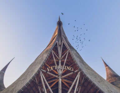 Efteling voert prijsverhoging door.