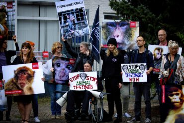 Protestanten strijden tegen dierenleed van de apen bij handelaar Hartelust.